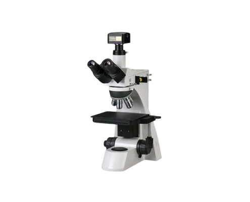 ms-prime